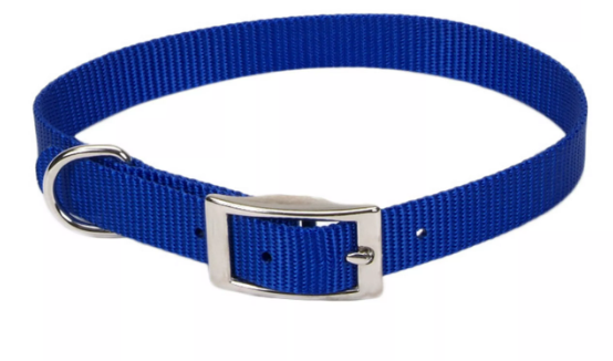 Coastal Pet Products Single Ply Nylon Dog Collar