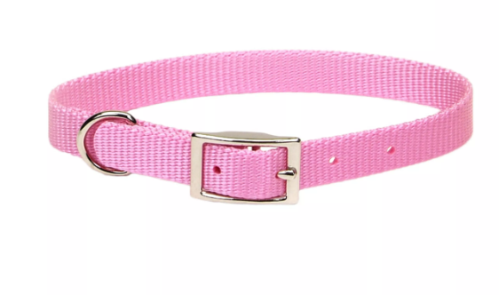 Coastal Pet Products Single Ply Nylon Dog Collar