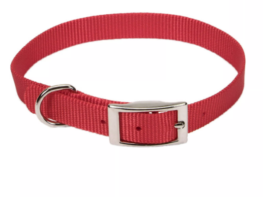 Coastal Pet Products Single Ply Nylon Dog Collar