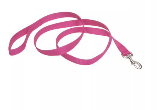 Coastal Pet Products Single Ply Nylon Dog Leash