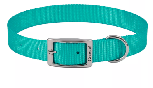 Coastal Pet Products Single Ply Nylon Dog Collar