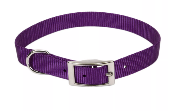 Coastal Pet Products Single Ply Nylon Dog Collar