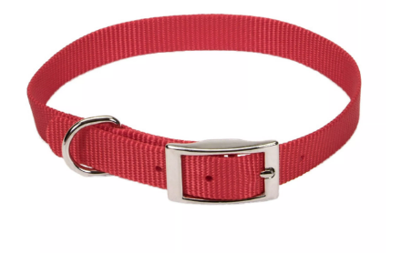 Coastal Pet Products Single Ply Nylon Dog Collar