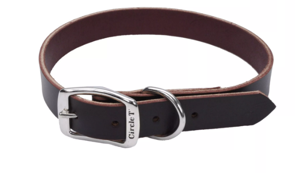 Circle T Latigo Leather Town Dog Collar