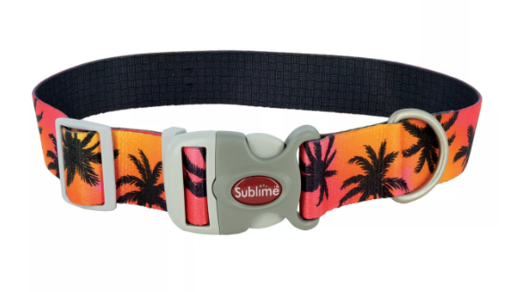 Sublime Adjustable Dog Collar