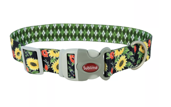 Sublime Adjustable Dog Collar