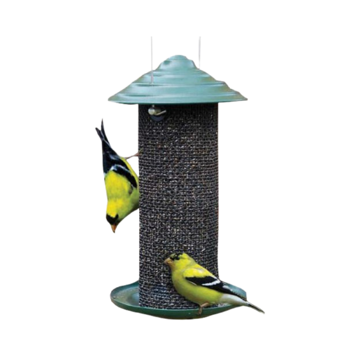 Audubon Mini Magnum Nyjer Thistle Wild Bird Feeder .75 lb