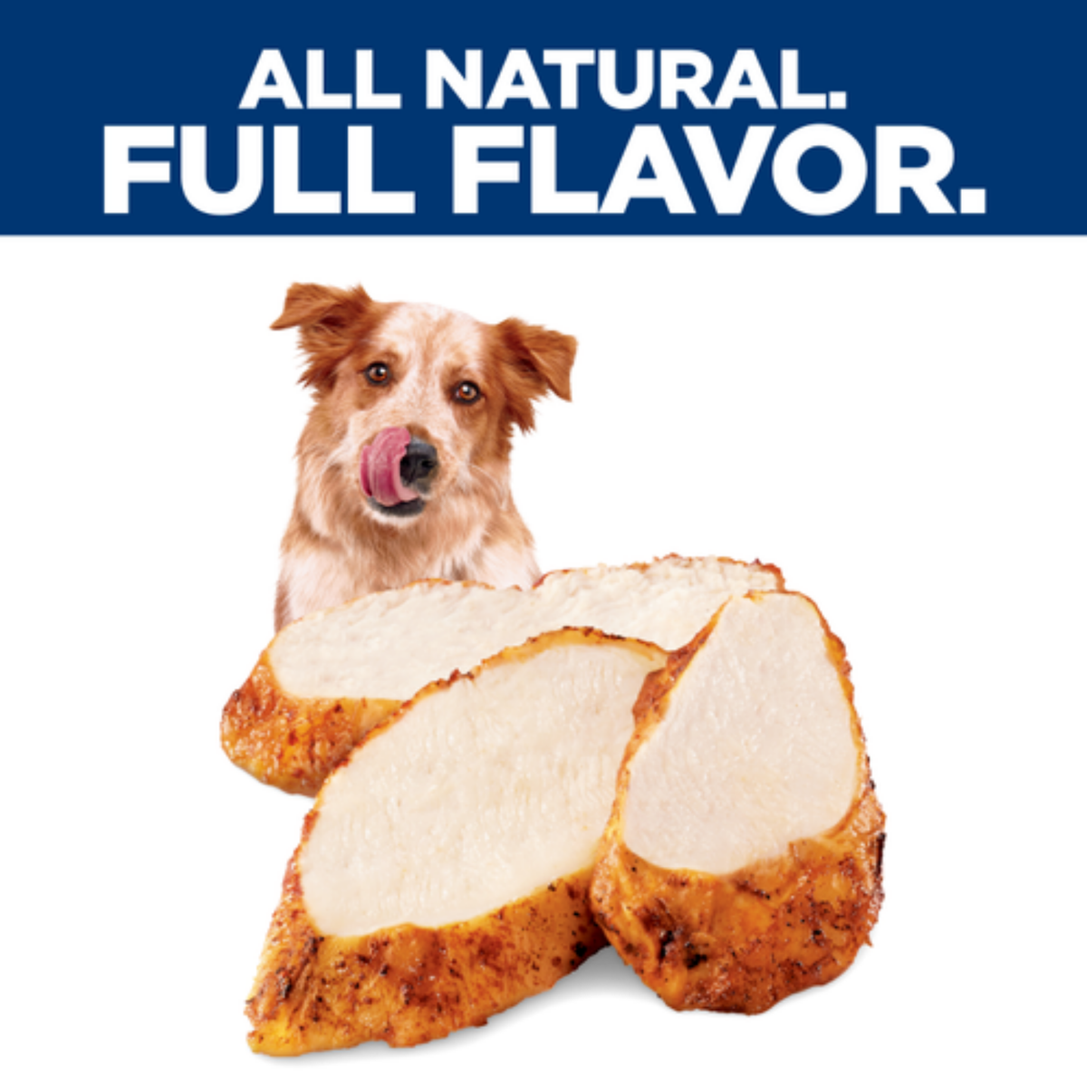 Hill's Science Diet Jerky Strips With Real Chicken Dog Treats 7 oz
