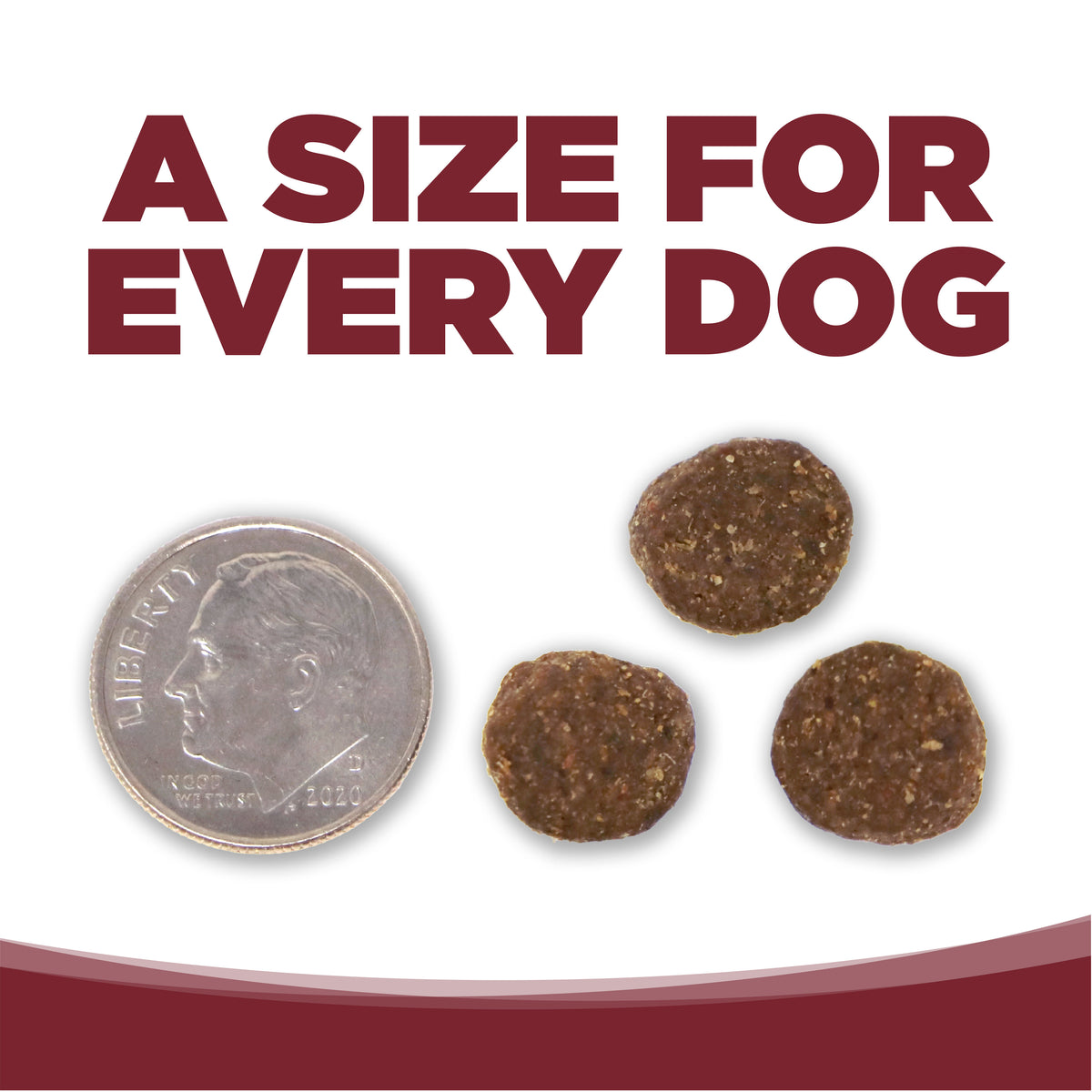 Nutrisource Beef & Rice Recipe Dry Dog Food