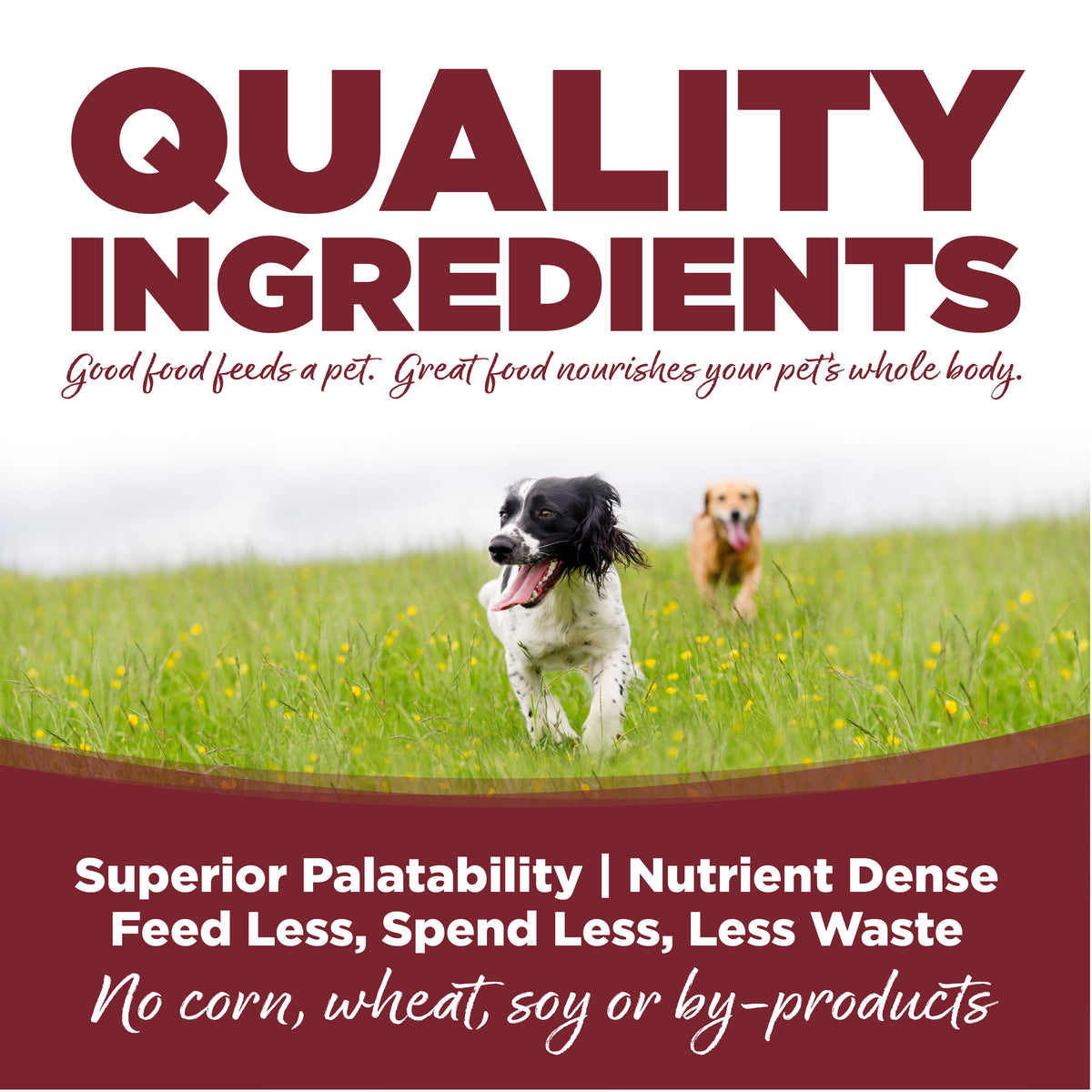 Nutrisource Beef & Rice Recipe Dry Dog Food