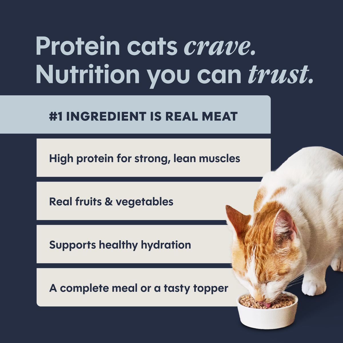 Instinct Original Grain-Free Pate Variety Pack Canned Cat Food 12 ct