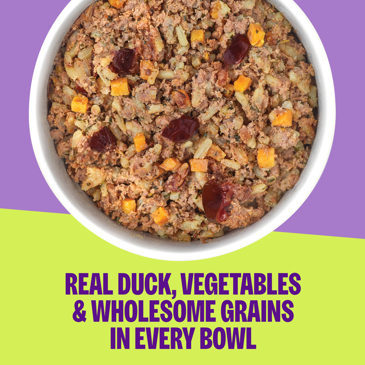 Wellness Protein Bowls Adult Wholesome Grains Duck, Sweet Potato & Cranberries Fresh Alternative Dog Food