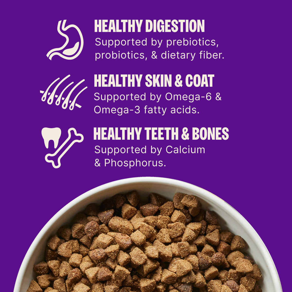 Wellness Complete Health Adult Whitefish & Sweet Potato Recipe Dry Dog Food