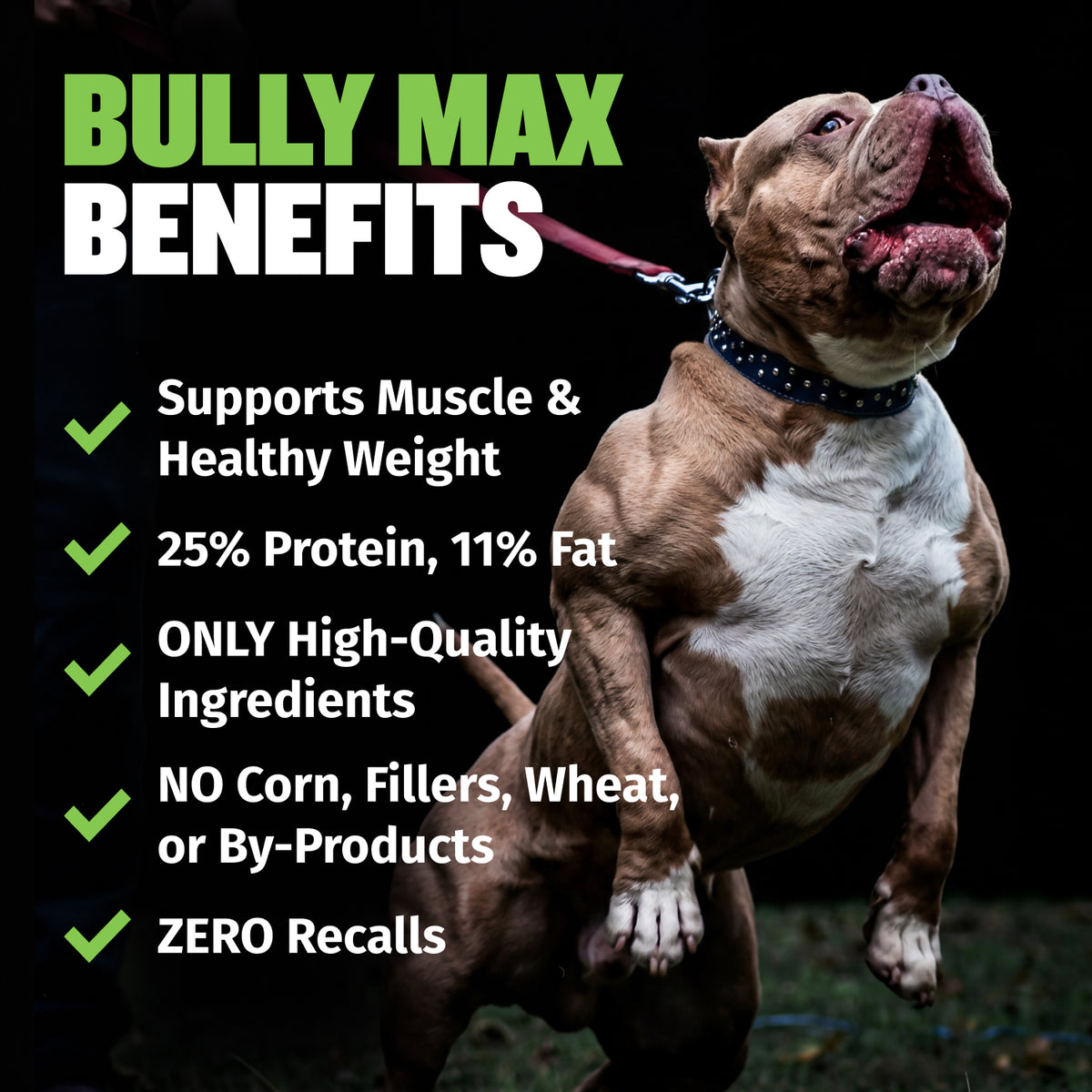 Bully Max 25/11 High Protein & Low Fat Dry Dog Food with Lamb
