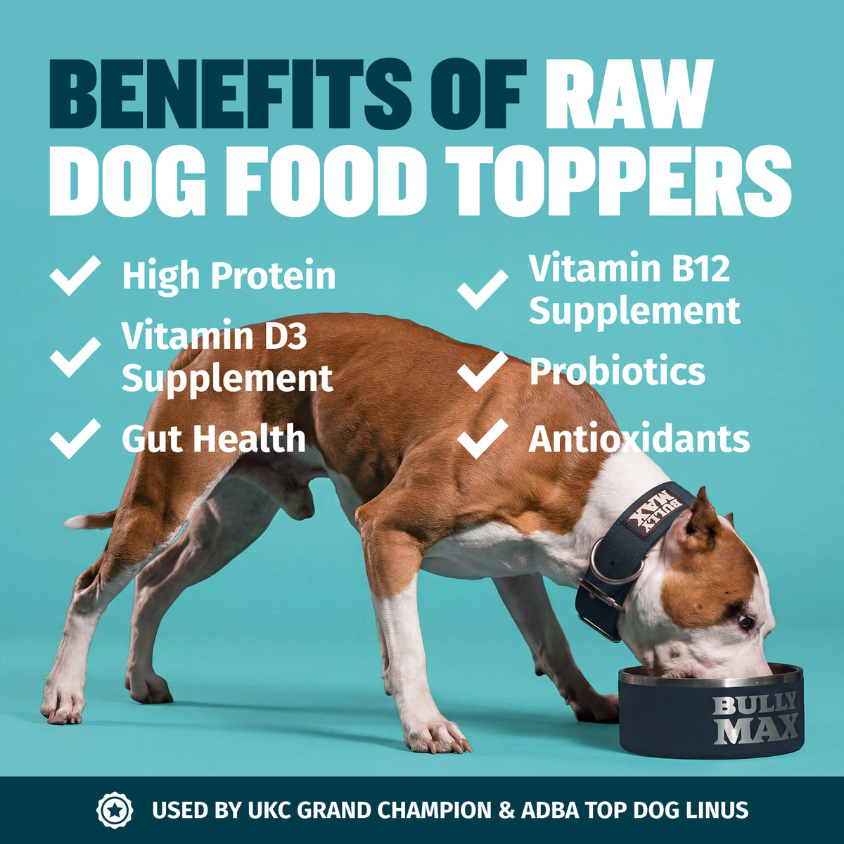 Bully Max Freeze-Dried Raw Dog Food Topper Salmon Flavor 7 oz