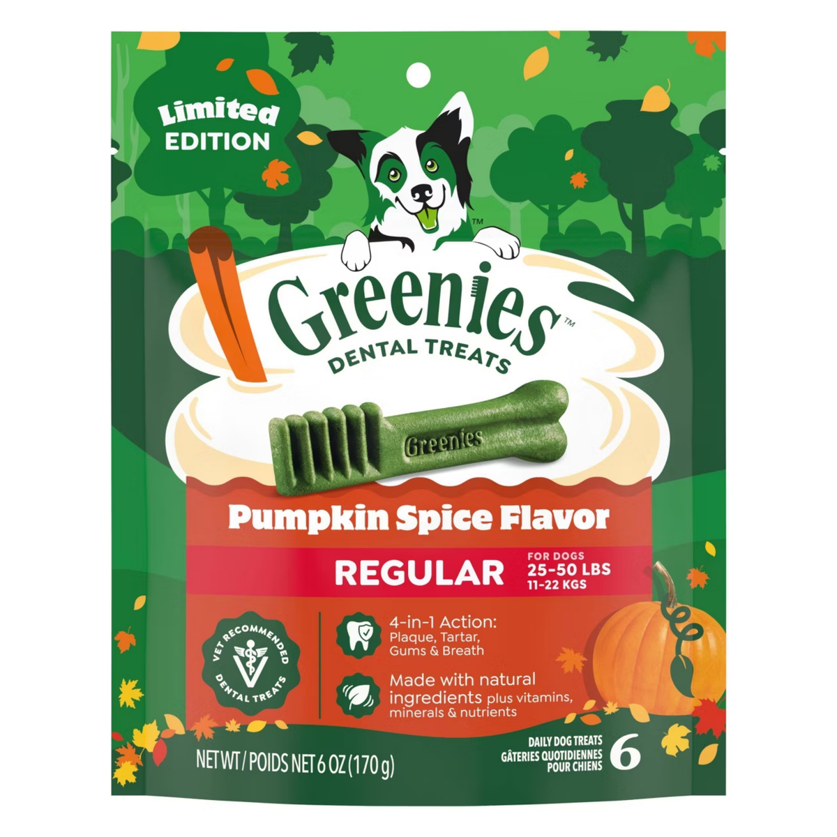 Greenies Holiday Pumpkin Spice Flavor Dog Dental Treats, 6oz