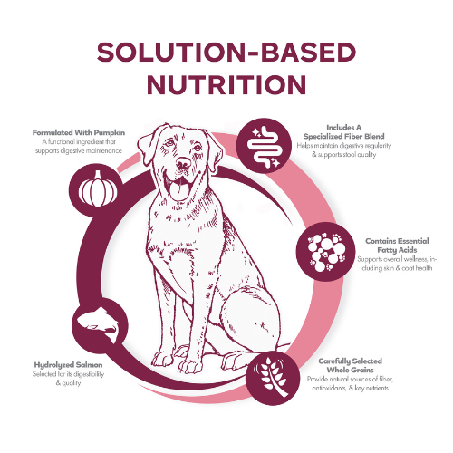 Fromm Nutritionals Sensitive Skin & Stomach Salmon & Whole Oats Recipe Complete Dry Dog Food