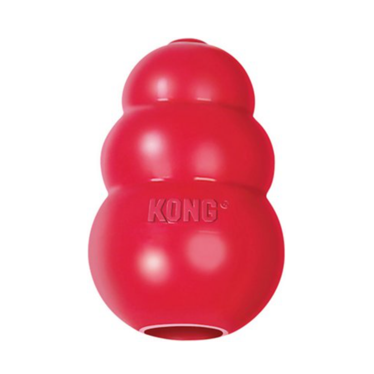 Kong Classic Dog Toy