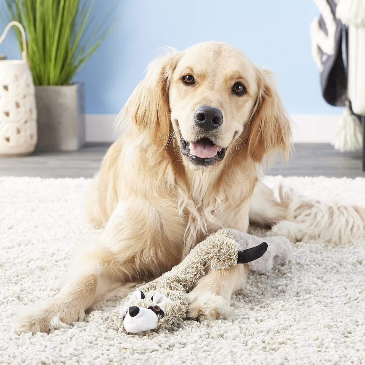 Spot Ethical Pet Skinneeez Stuffing-Free Racoon Plush Dog Toy