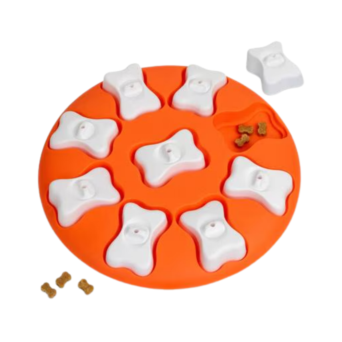 Outward Hound Smart Dog Bone Puzzle Game Dog Toy