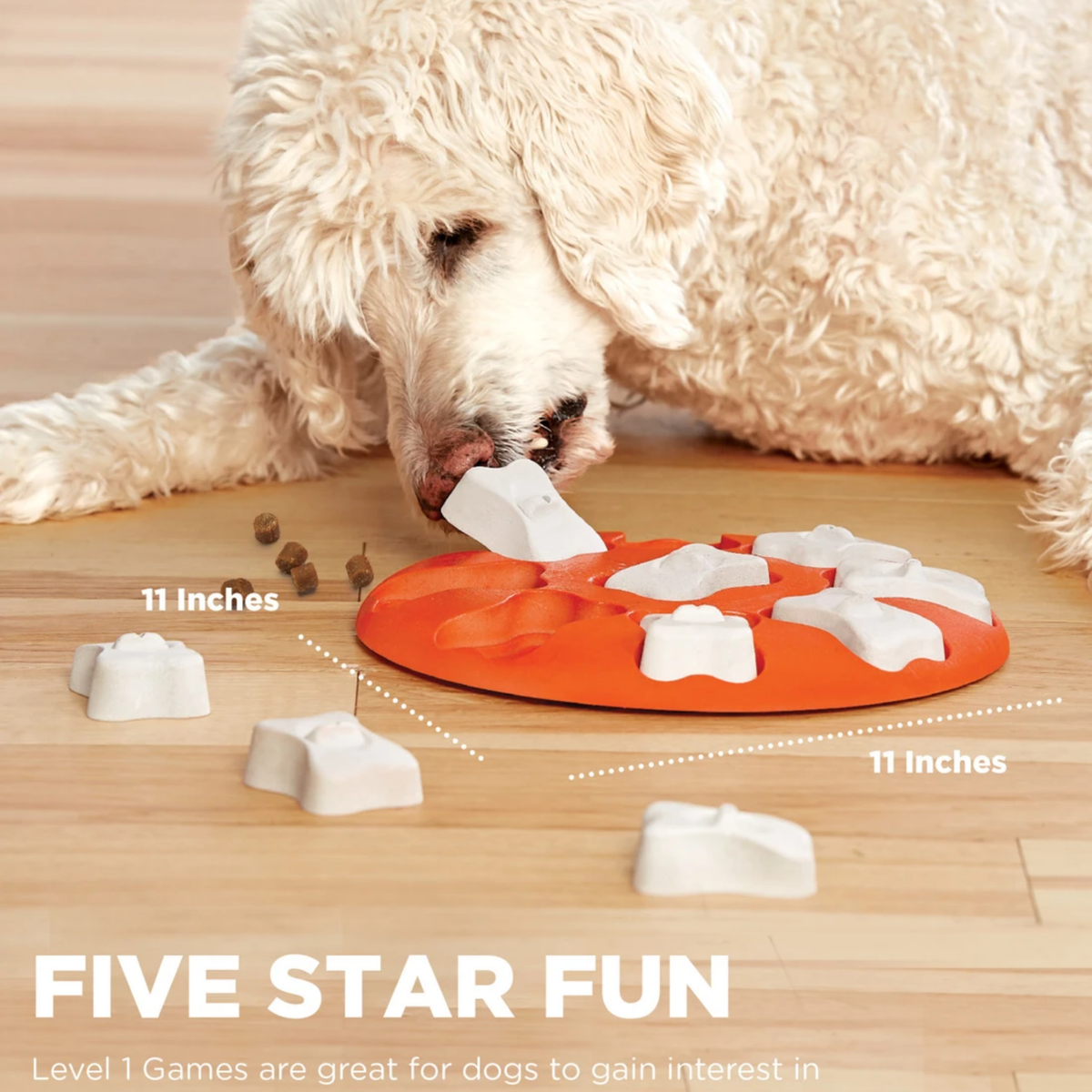 Outward Hound Smart Dog Bone Puzzle Game Dog Toy