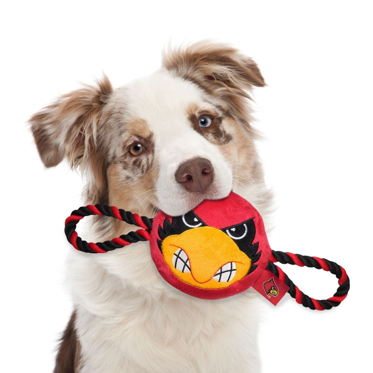 Pets First Louisville Cardinals Mascot Double Rope Plush Dog Toy 25 in