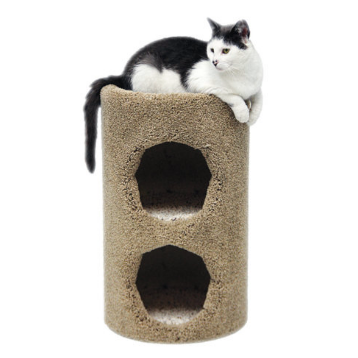 Beatrise 2-Story Carpeted Cat Condo