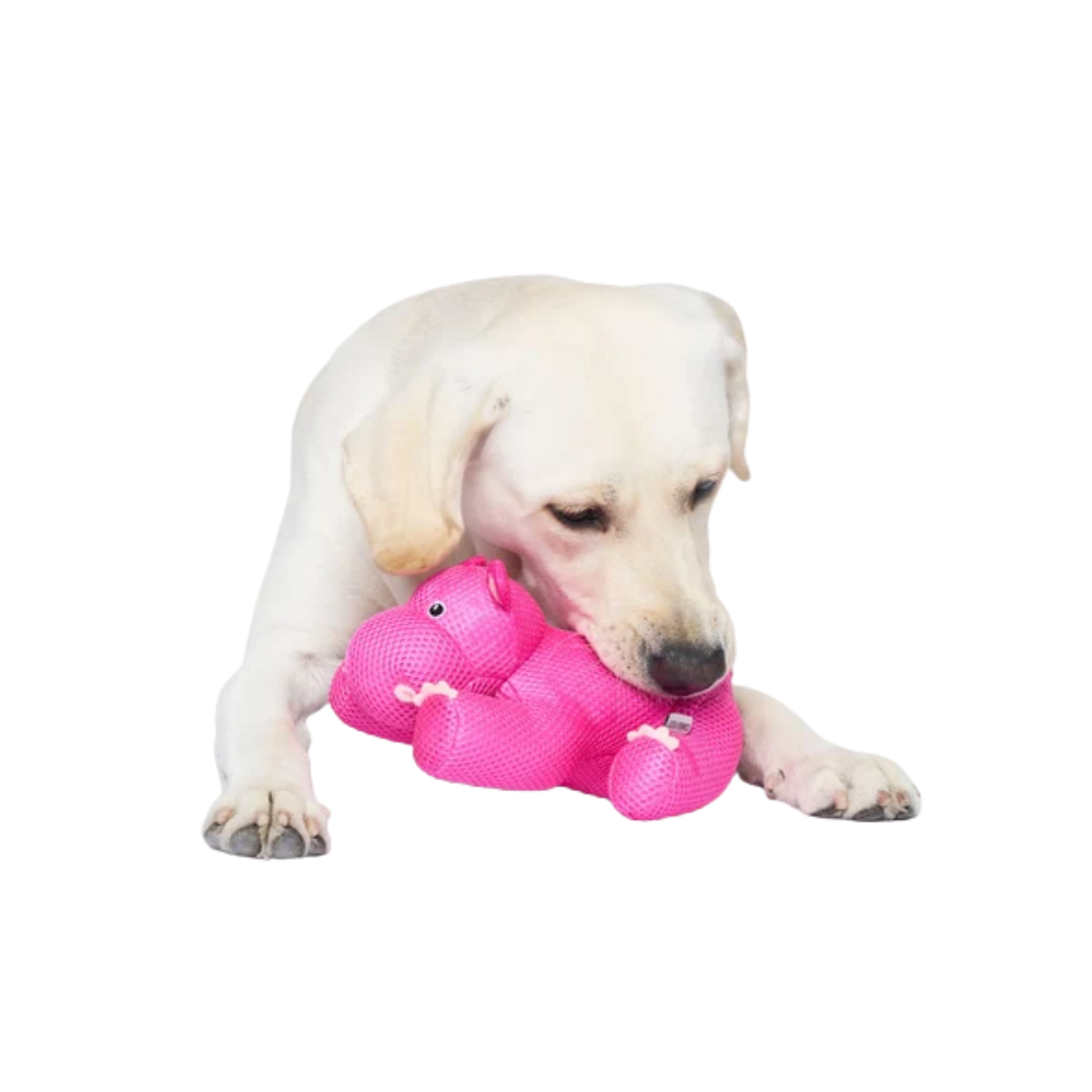 Canada Pooch Freeze & Chill Cooling Pal Hippo Dog Toy