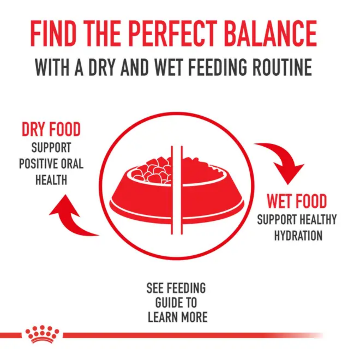 Royal Canin Adult Canned Dog Food