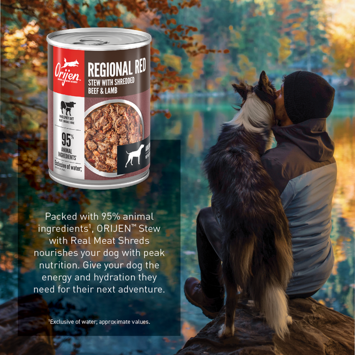 ORIJEN Real Meat Shreds Regional Red Stew Wet Dog Food