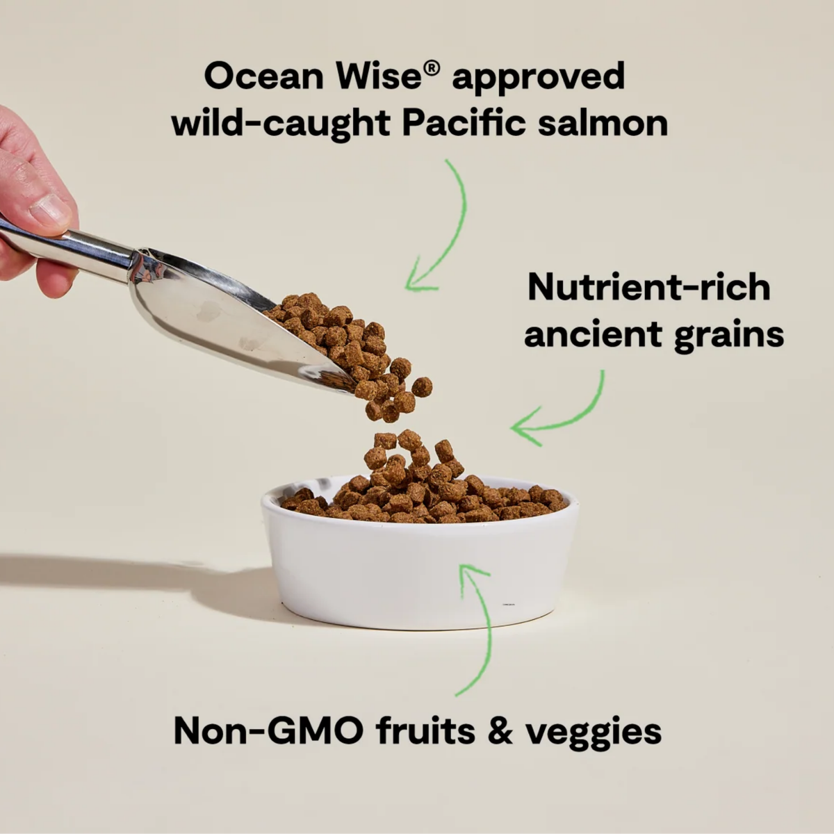 Open Farm Wild-Caught Salmon & Ancient Grains Dry Dog Food