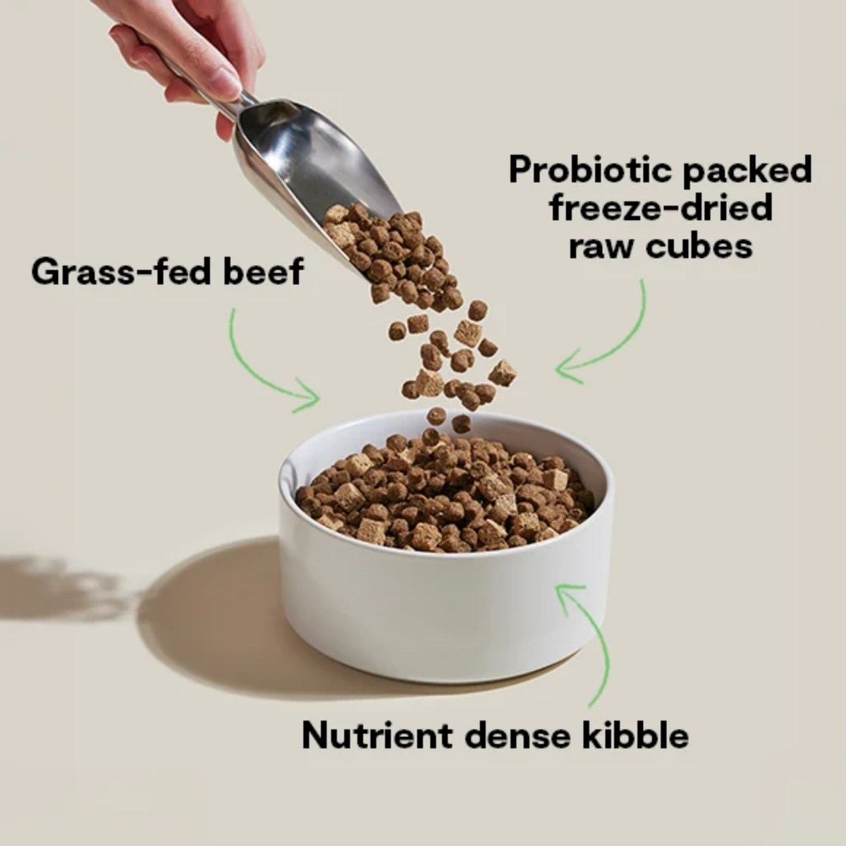 Open Farm GoodGut Grass-Fed Beef Dog Kibble