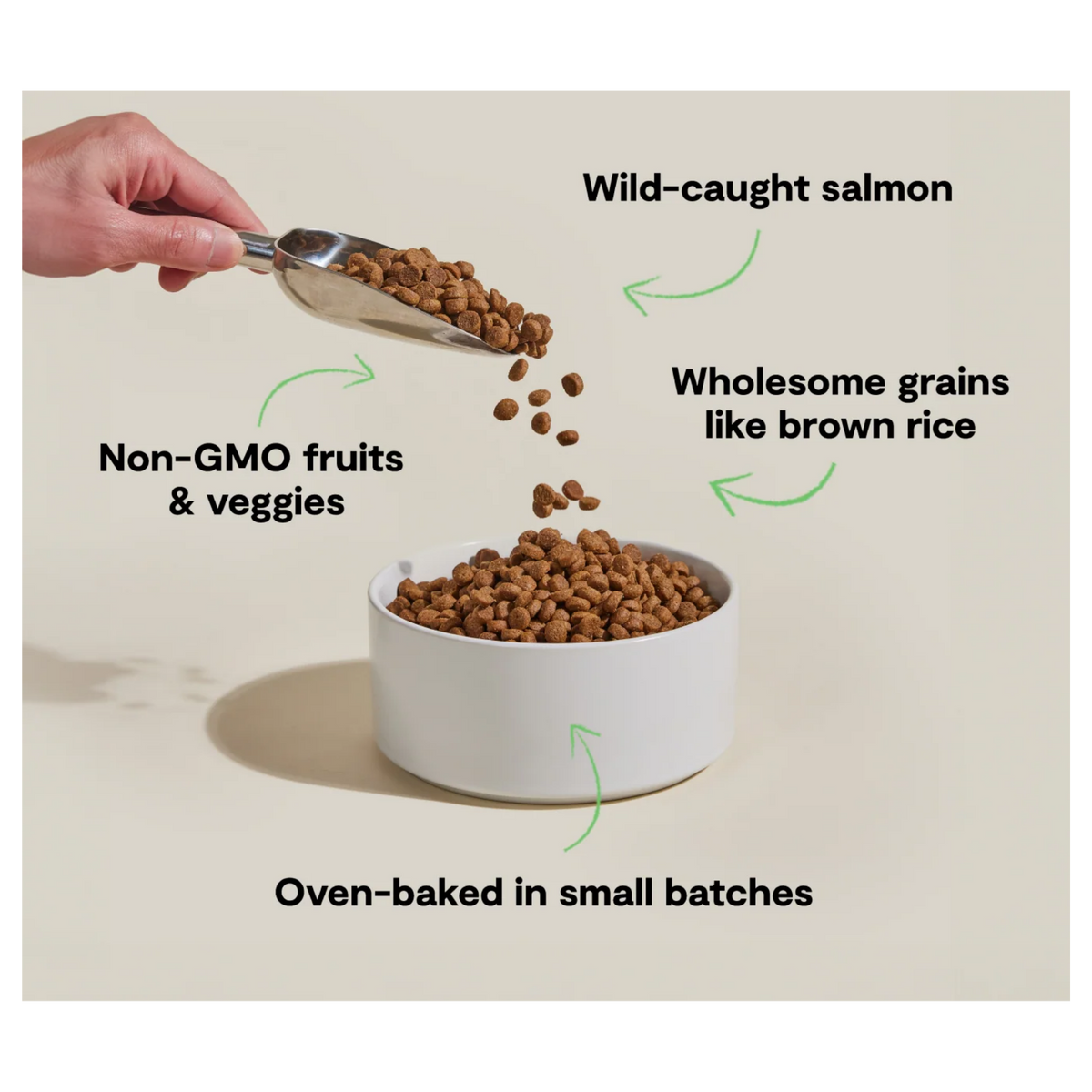 Open Farm Oven-Baked Goodbowl Wild-Caught Salmon & Brown Rice Recipe for Dogs 22 lb