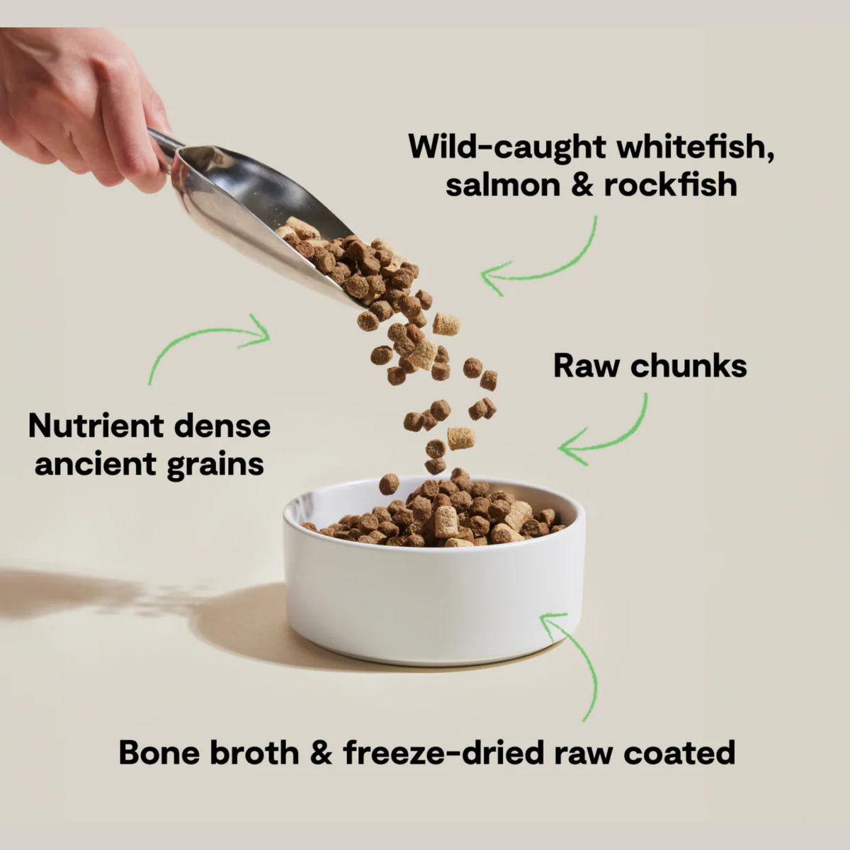 Open Farm Wild Ocean Ancient Grains RawMix for Dogs 20 lb
