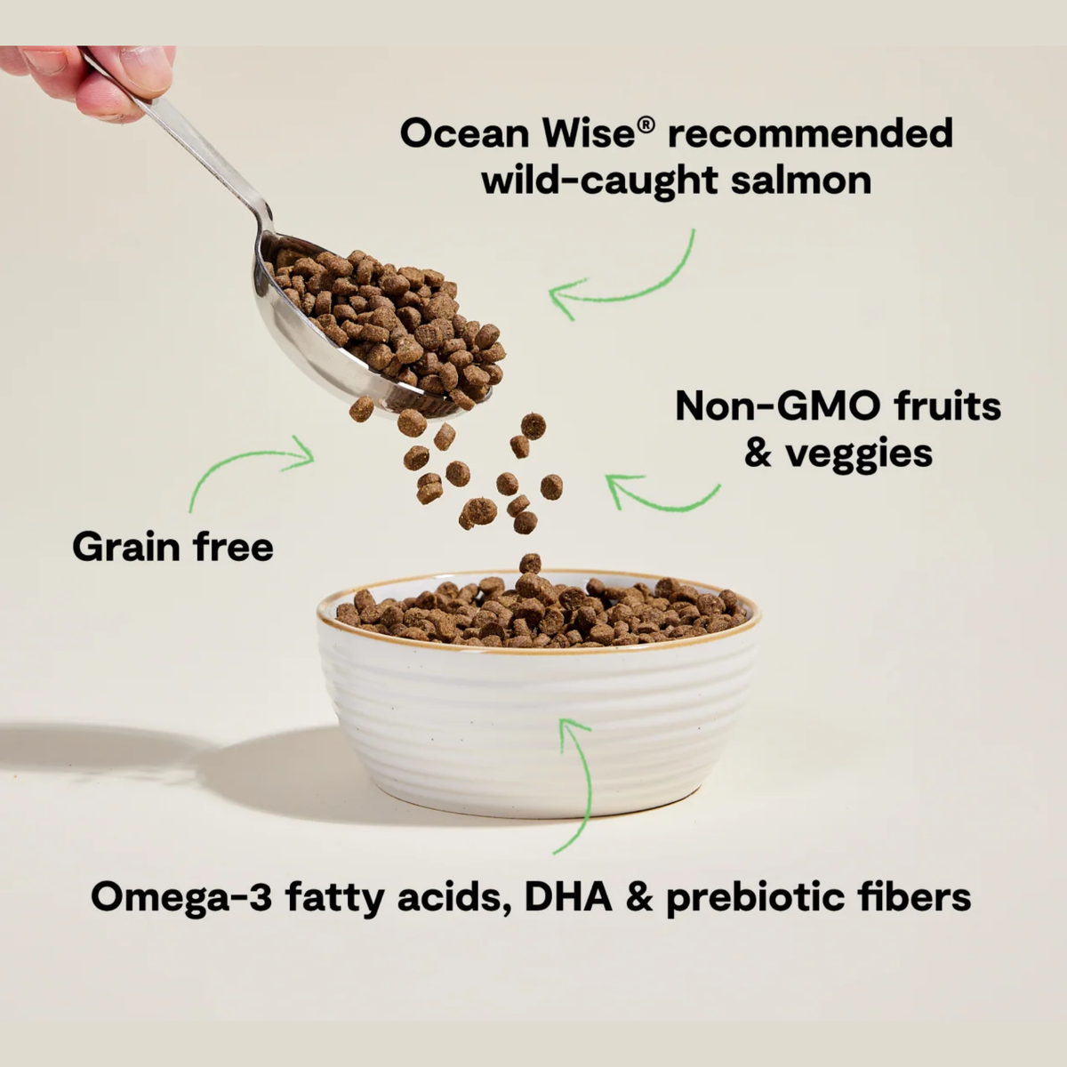 Open Farm Wild-Caught Salmon Recipe Grain-Free Dry Cat Food