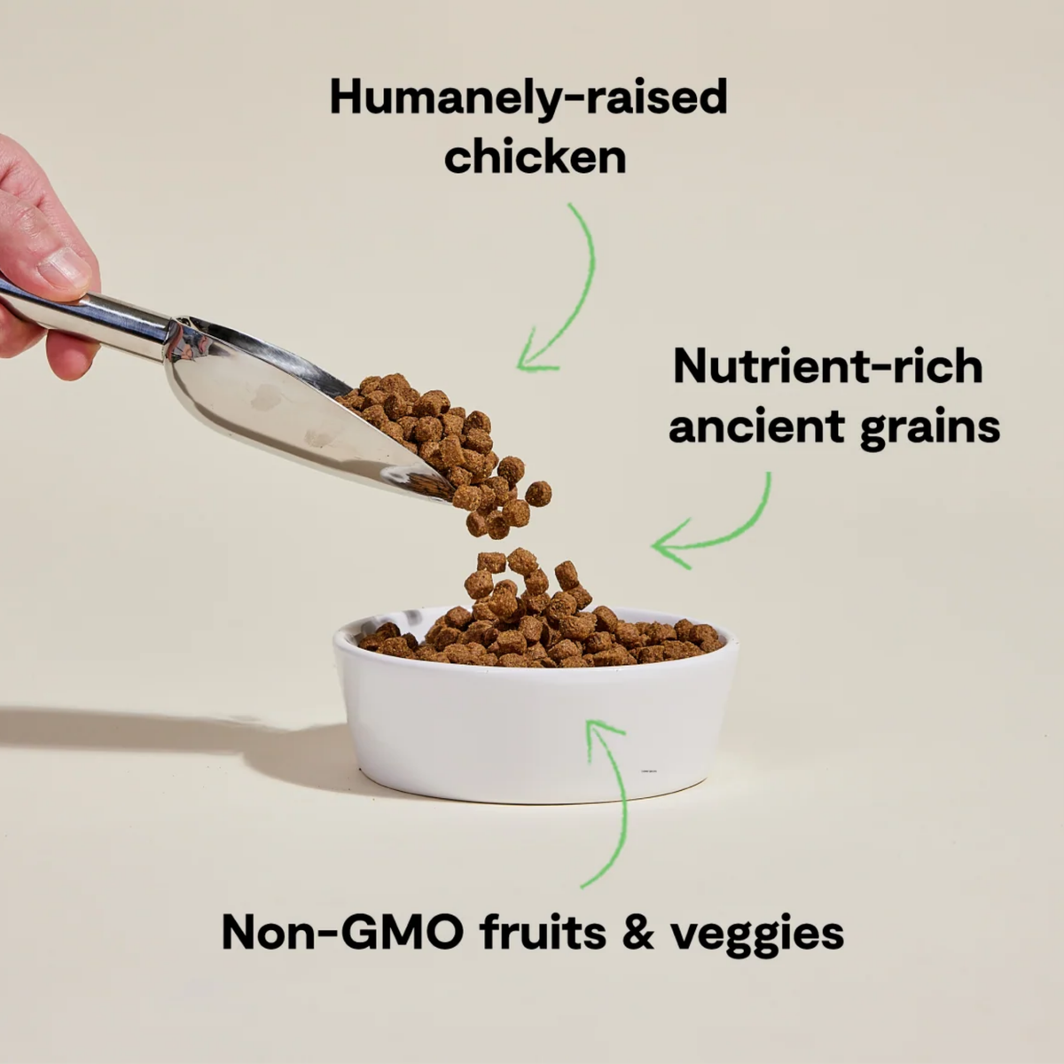 OPEN FARM Harvest Chicken & Ancient Grains Dry Dog Food