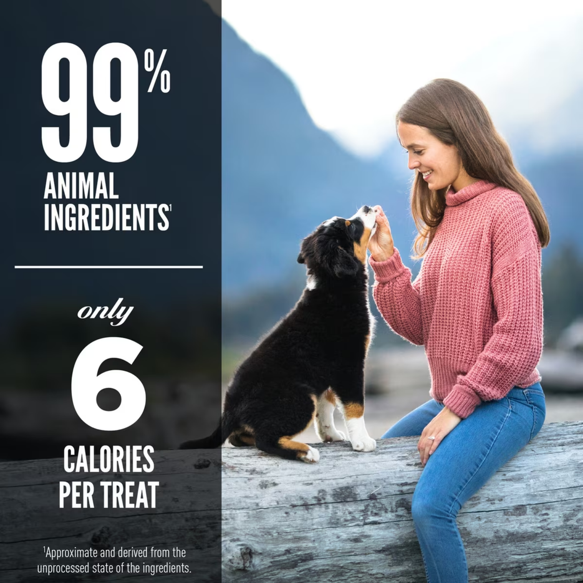 Orijen Biologically Appropriate Lamb, Liver, & Tripe Freeze-Dried Dog Treats
