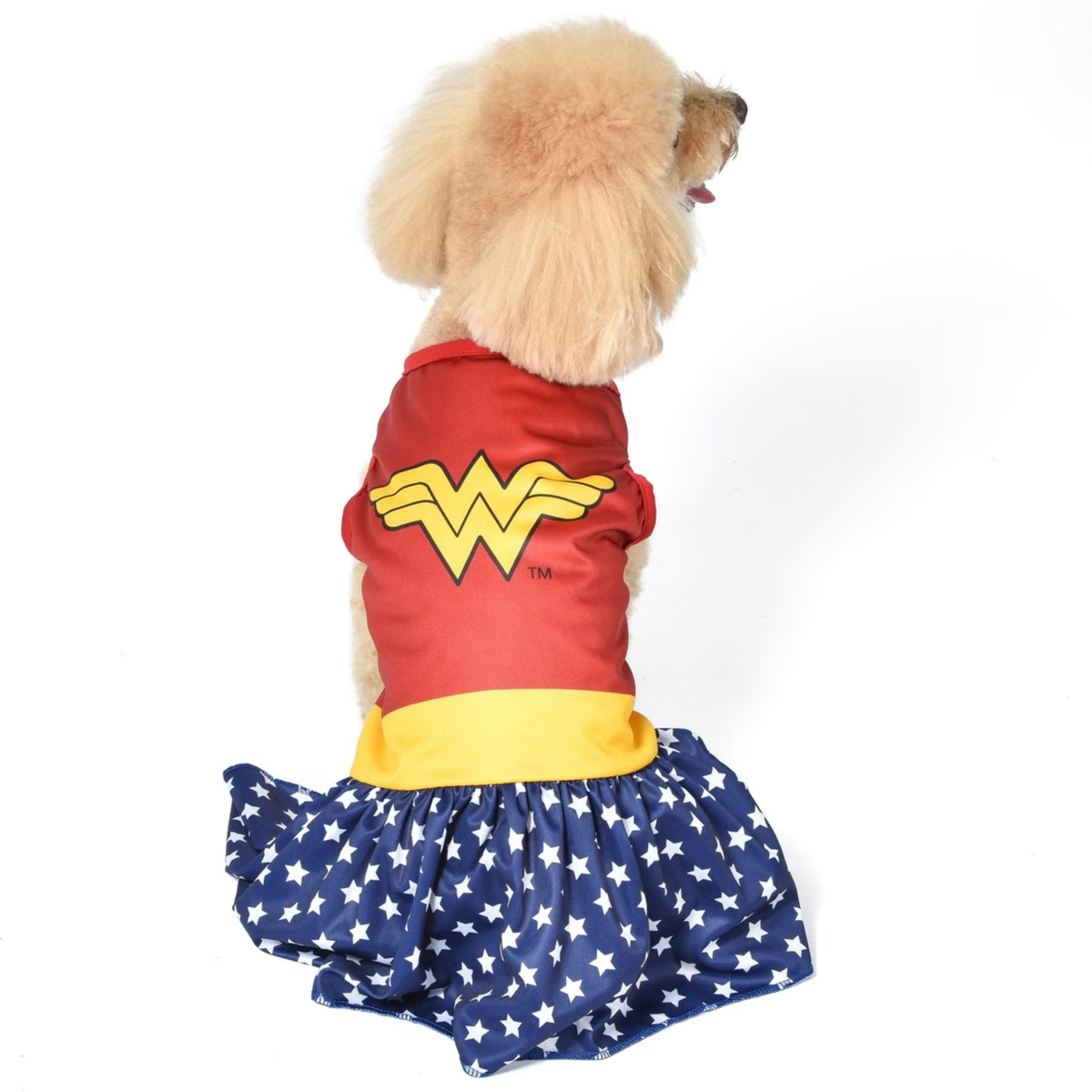 Fetch DC Comics Wonder Woman Dog Halloween Costume
