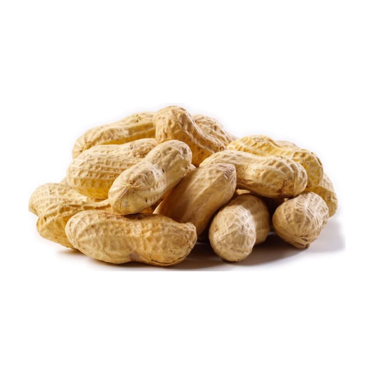 Burkmann Feeds Peanuts
