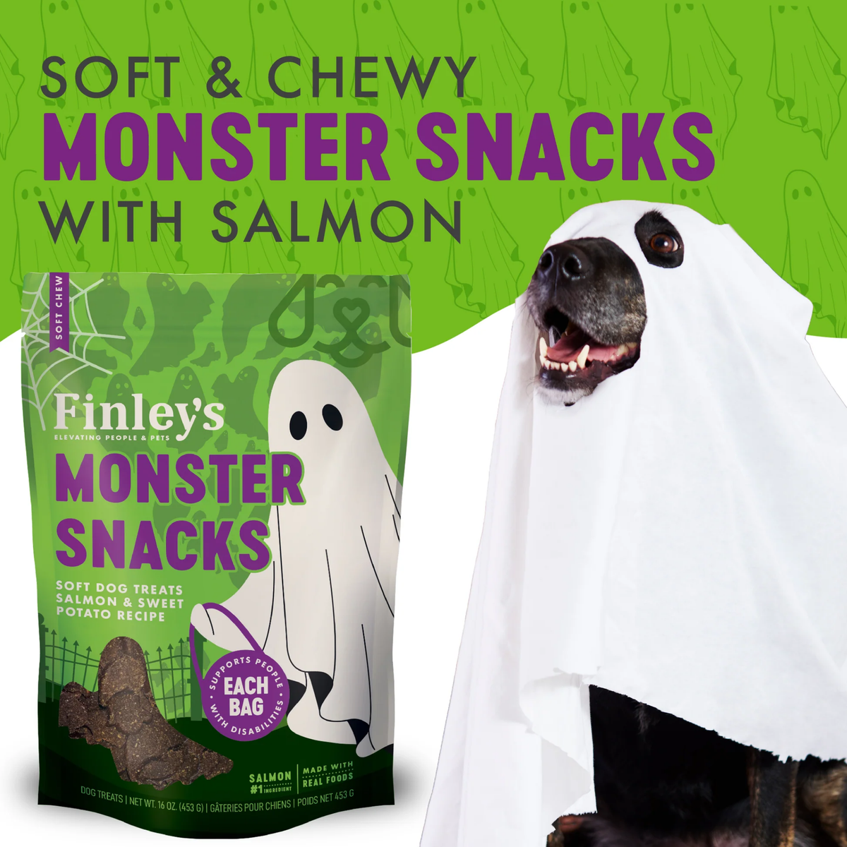 Finley's Halloween Monster Snacks Salmon & Sweet Potato Soft Dog Treats 6 oz