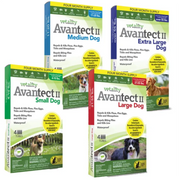 Vetality Avantect ll for Dogs, Repels & Kills Fleas, Flea Eggs, Ticks and Mosquitoes- 4 pack