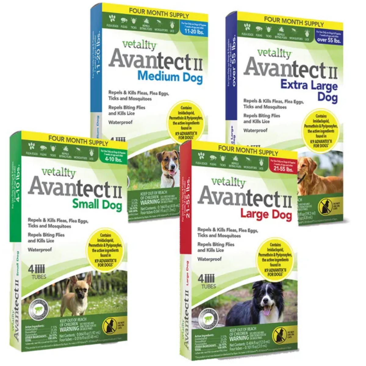 Vetality Avantect ll for Dogs, Repels & Kills Fleas, Flea Eggs, Ticks and Mosquitoes- 4 pack