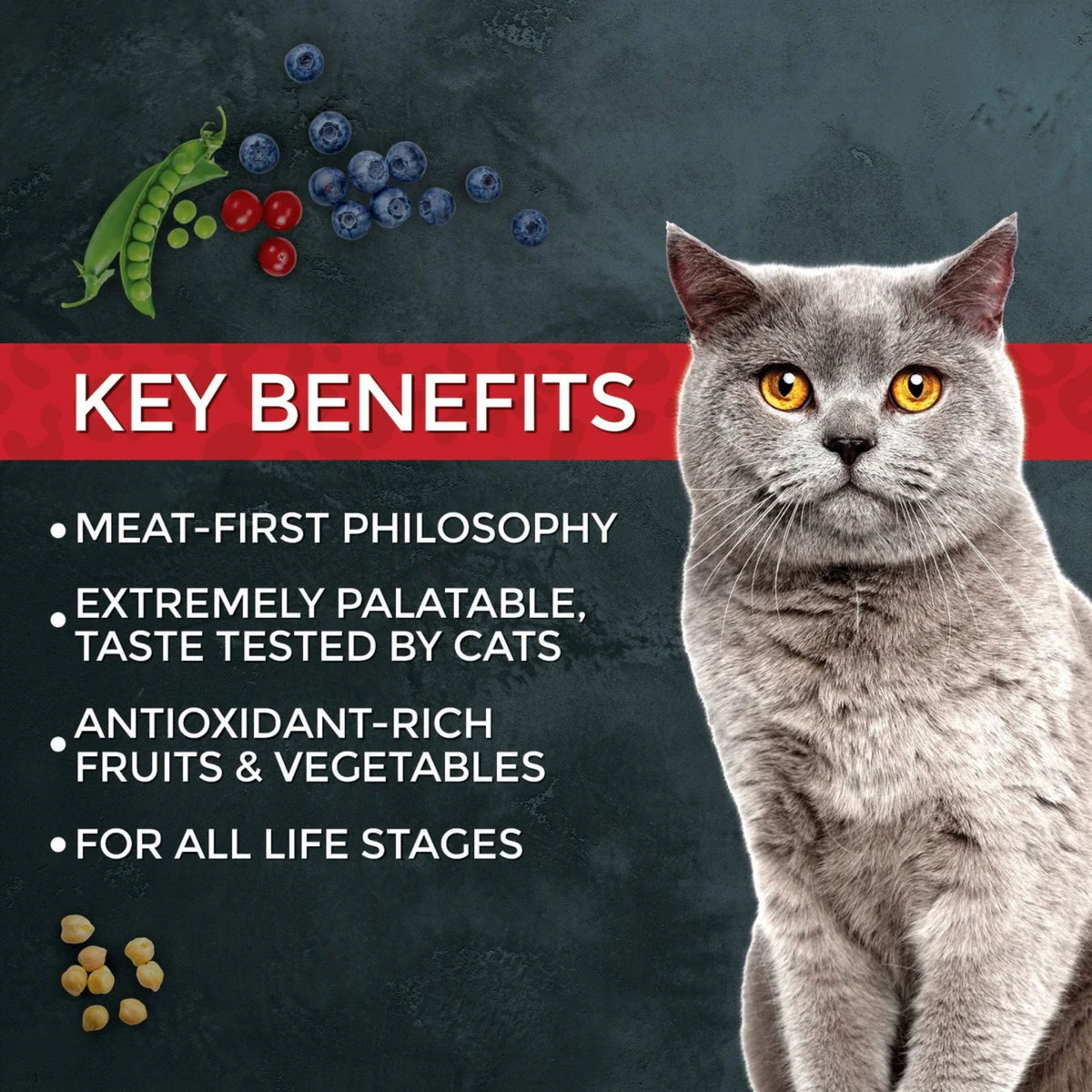 Fussie Cat Market Fresh Chicken & Turkey Recipe Grain-Free Dry Cat Food
