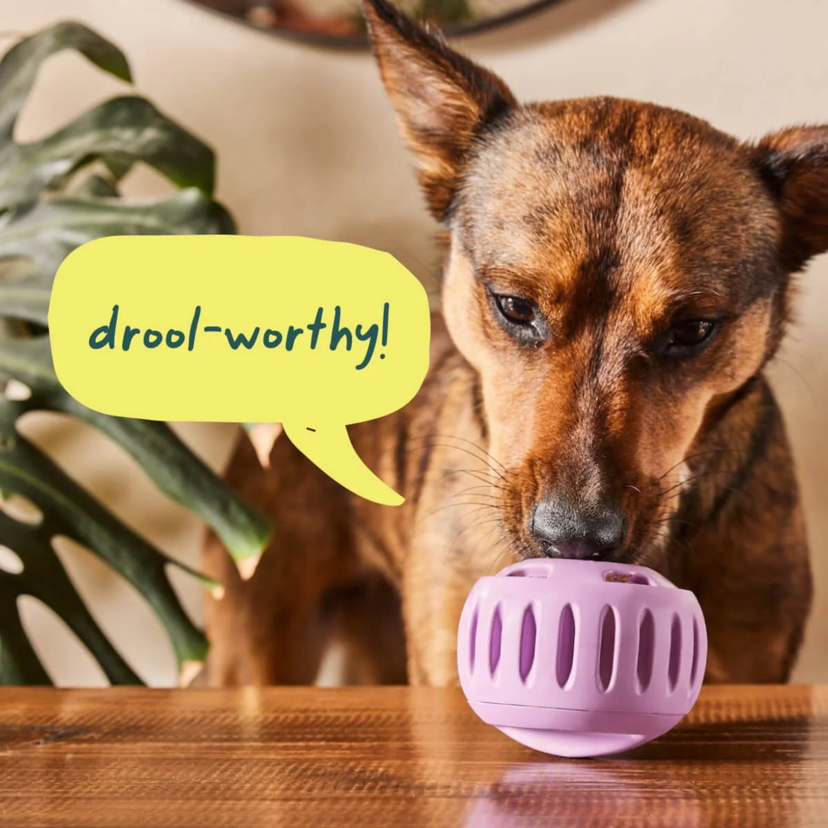 Woof The Pupsicle Long-lasting Refillable Dog Toy, Lavender