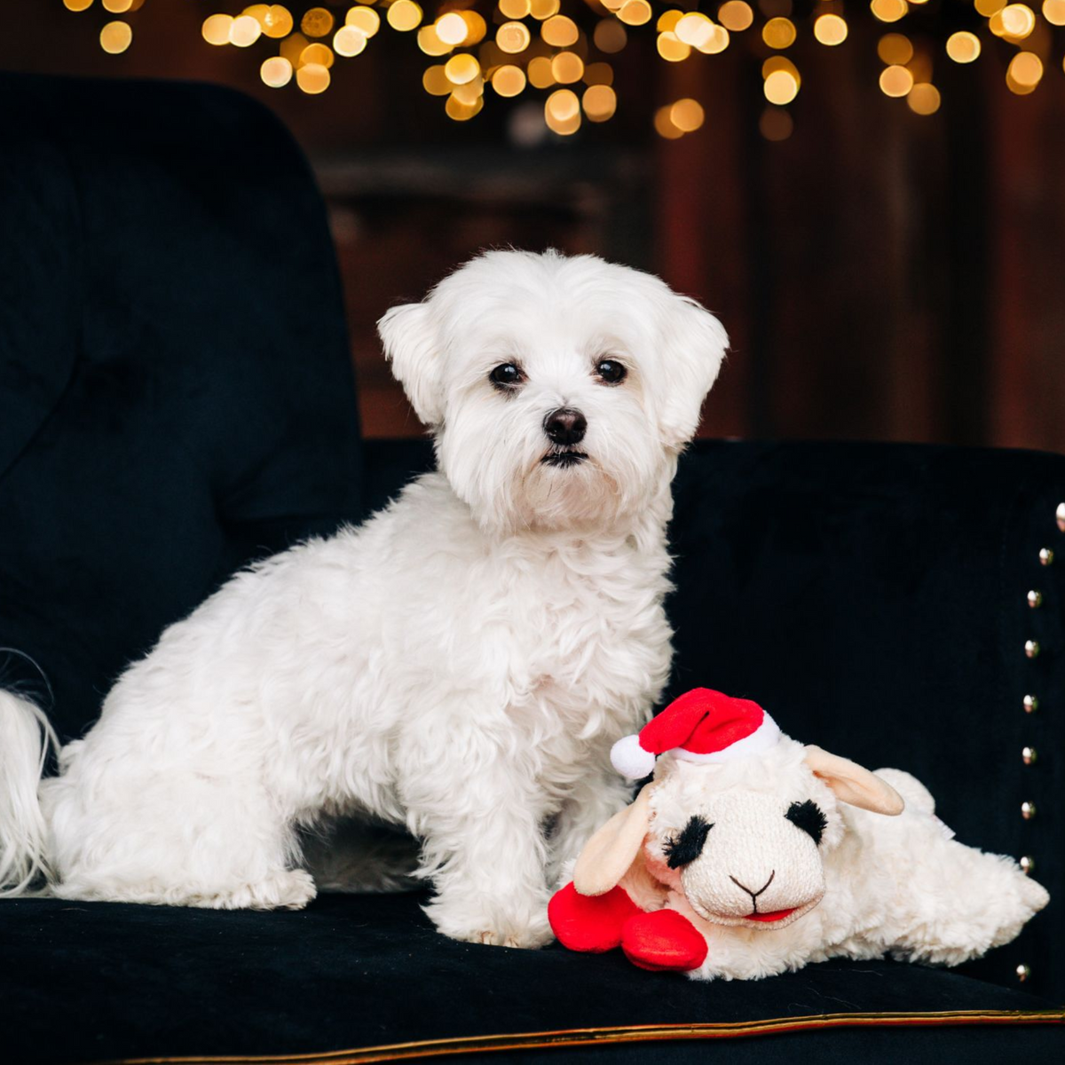 Multipet Holiday Santa Lamb Chop Plush Dog Toy 6 in