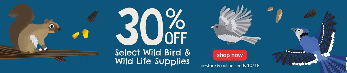 Feeders Pet Supply