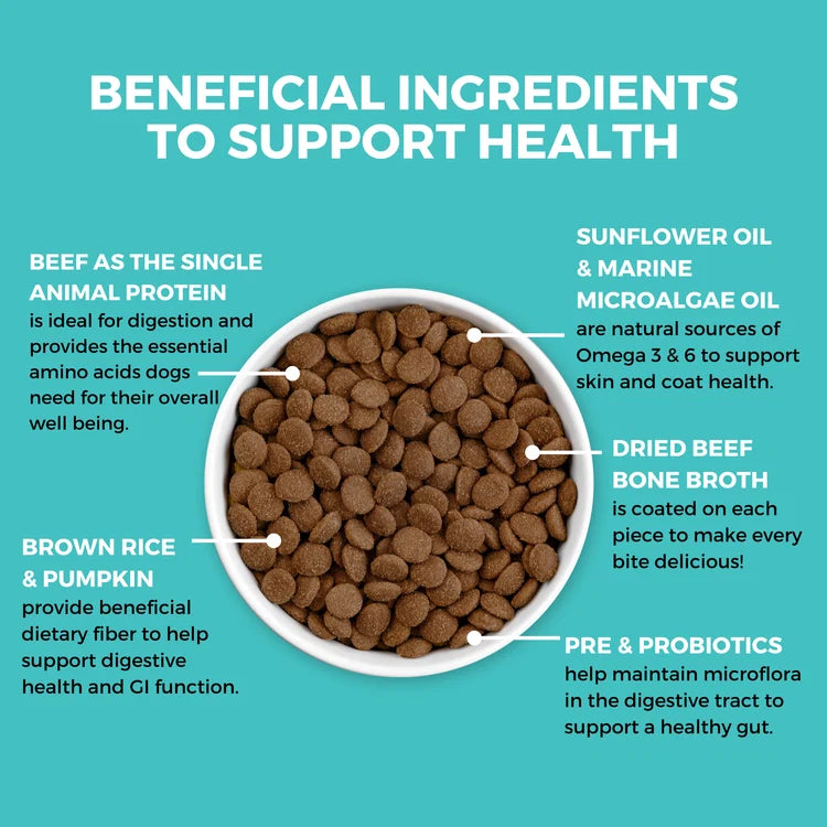 Koha Bland Limited Ingredient Diet Beef & Brown Rice Recipe Dry Dog Food