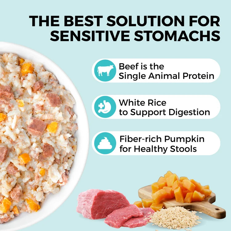 Koha Limited Ingredient Bland Diet Beef & White Rice Recipe for Dogs