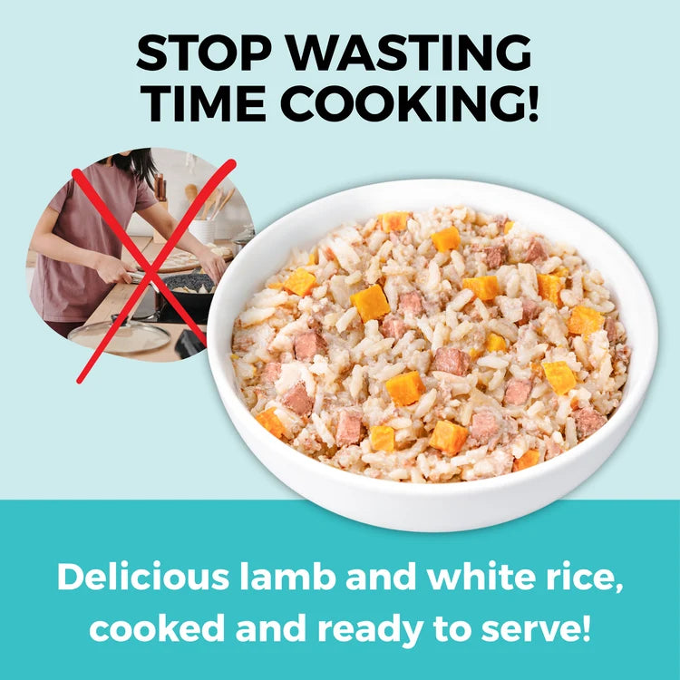 KOHA Limited Ingredient Bland Diet Chicken & White Rice Recipe for Dogs