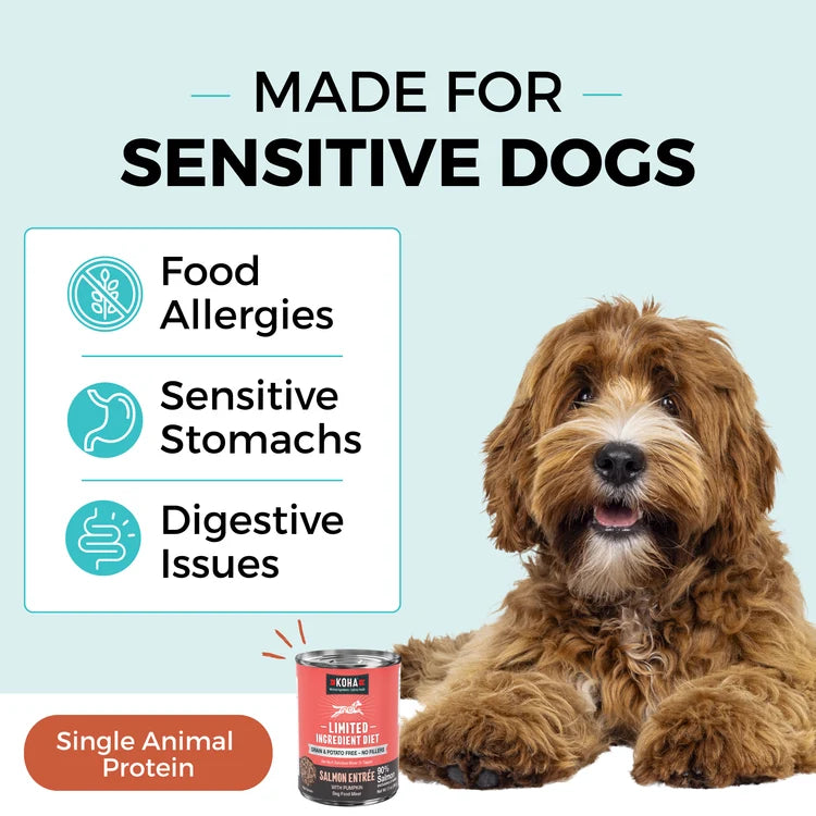 Koha Limited Ingredient Diet Salmon Entrée with Pumpkin Topper for Dogs